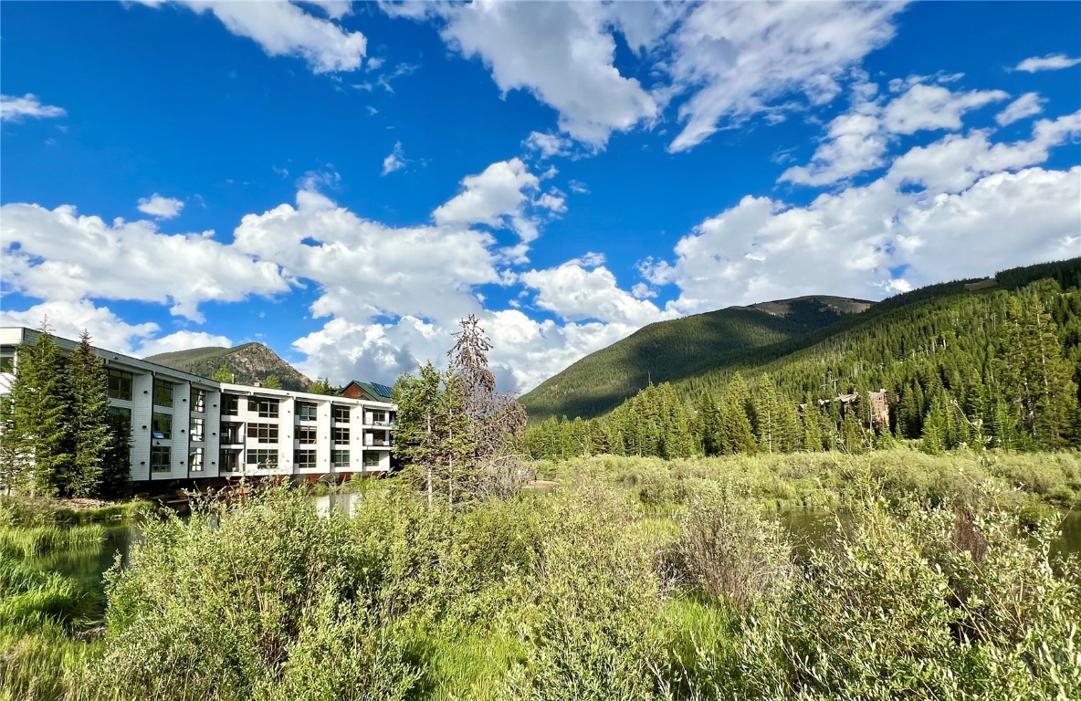 24 River Run Road, Unit 2911 Keystone, CO 80435 - Photo 2 of 24 a view of a garden