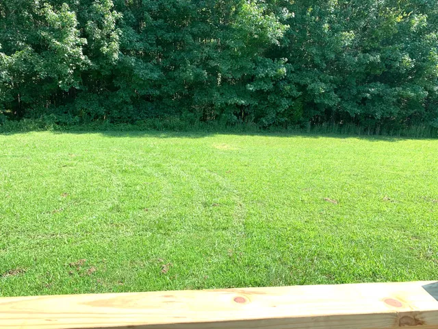 a open area with trees in the background