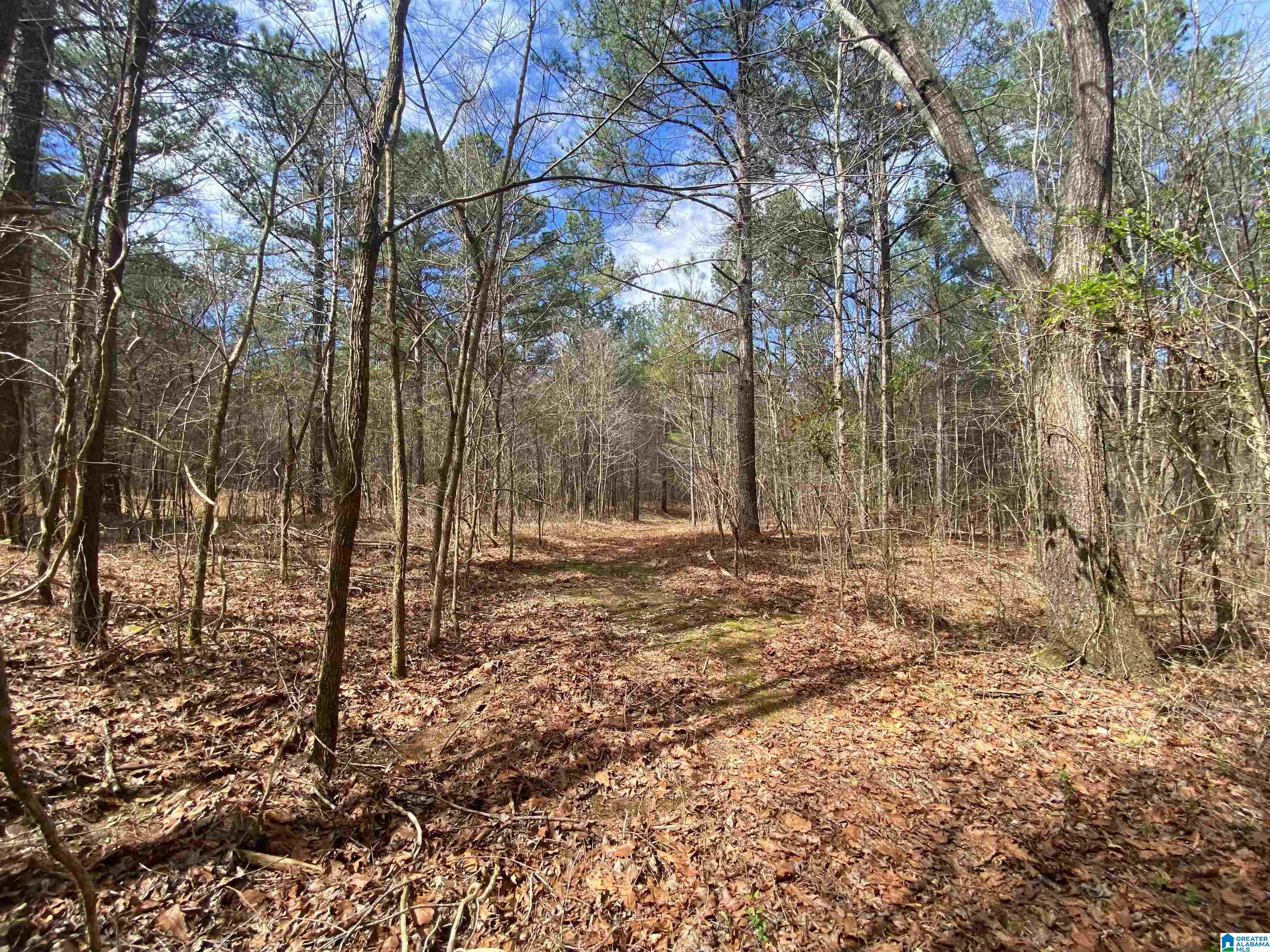Springs Lane, Unit 12 Springville, AL 35146 - Photo 19 of 26