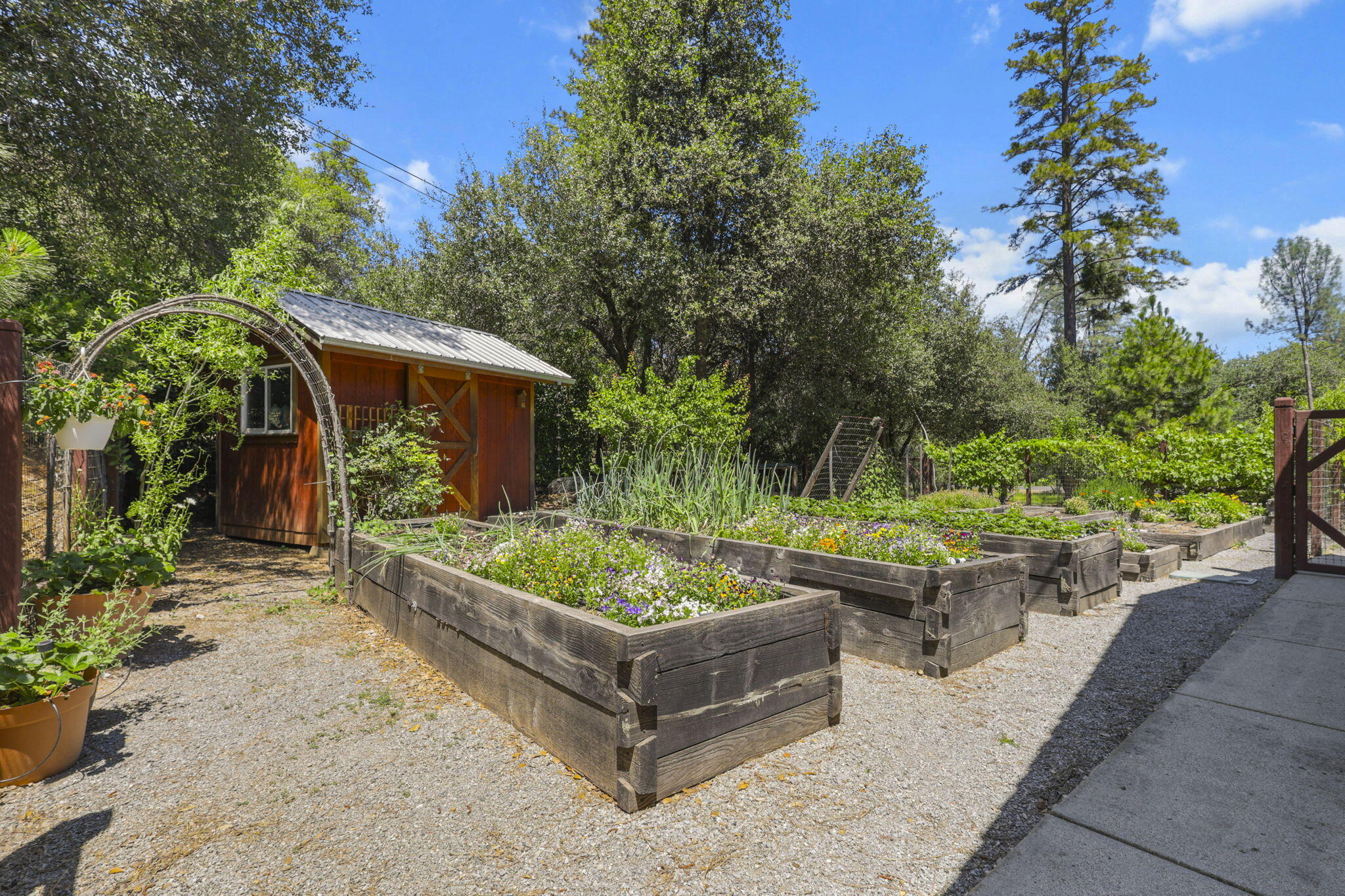 17717 Walker Mine Road Redding, CA 96003 - Photo 41 of 50 47-web-or-mls-LZ0A1105