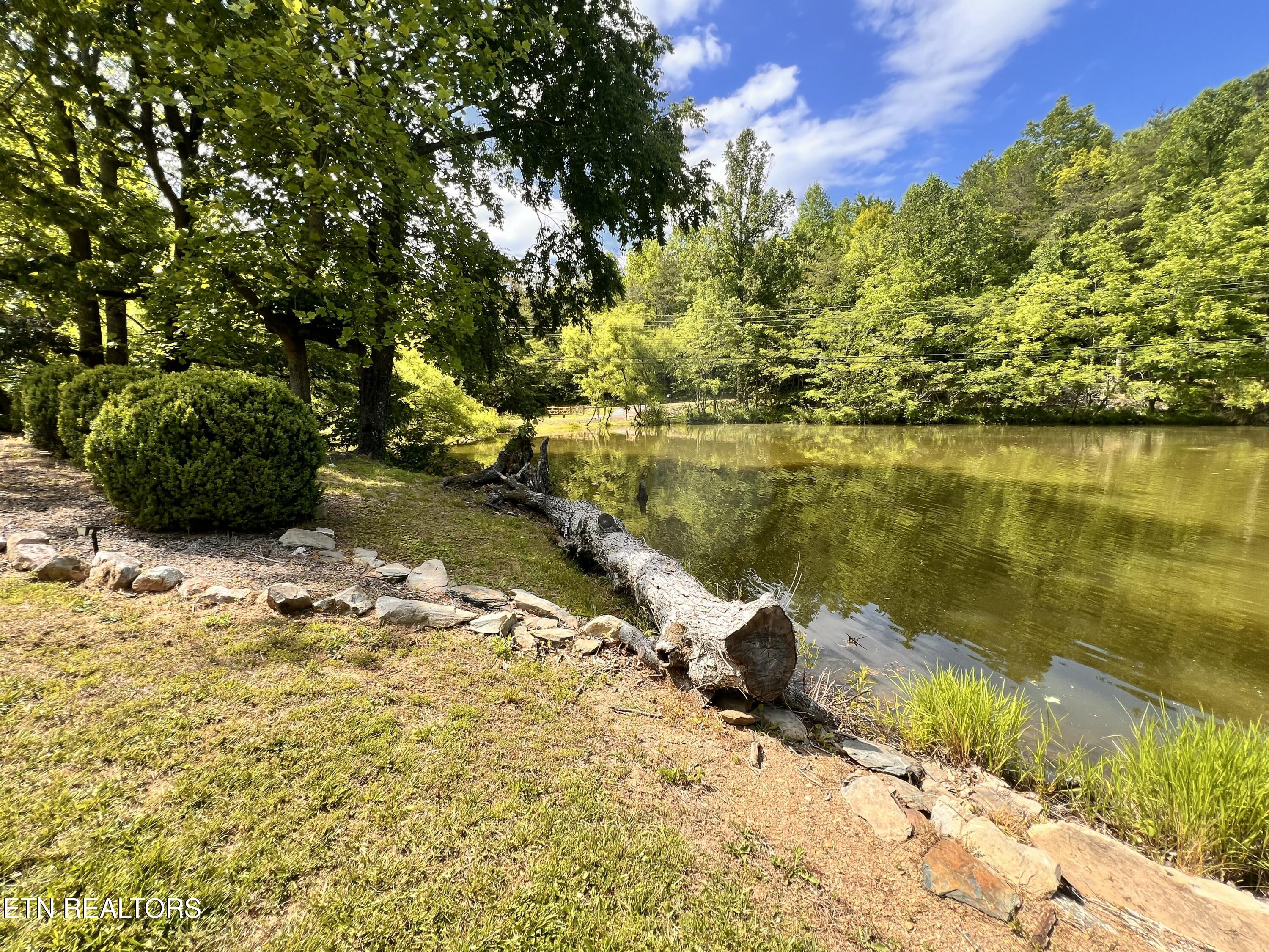 4040 Trail Hollow Road Cosby, TN 37722 - Photo 47 of 60 IMG_7409