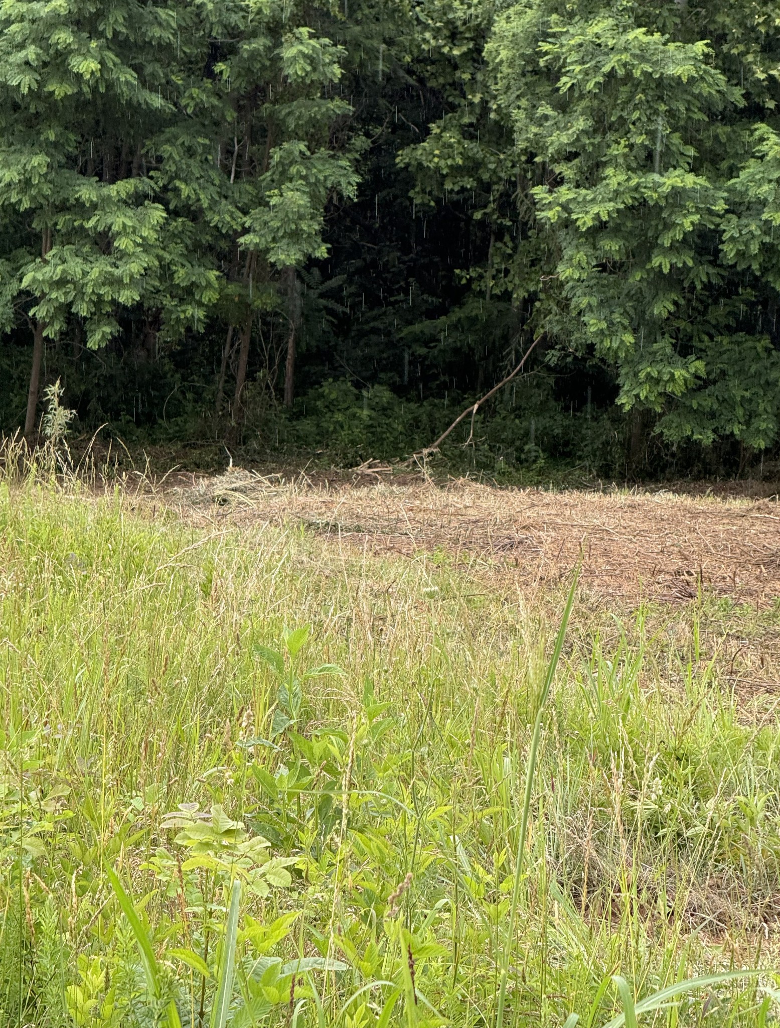 0 Mallard Road Celina, TN 38551 - Photo 4 of 18