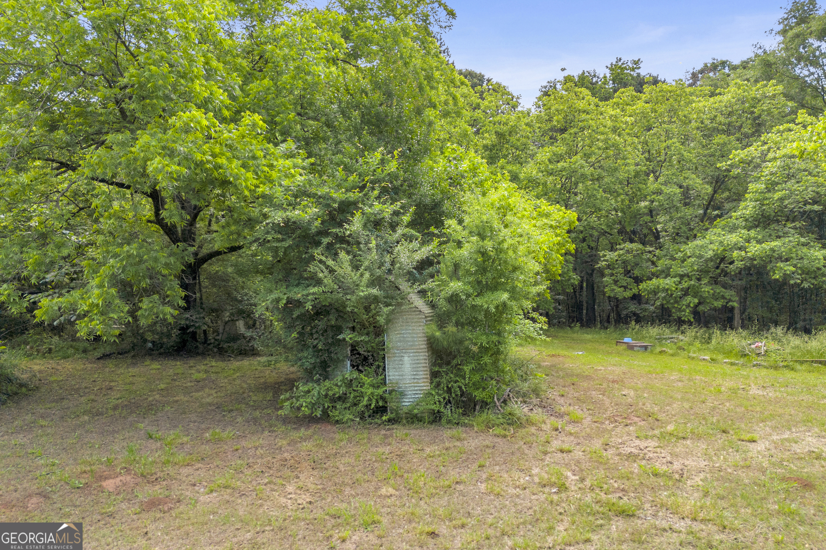 366 Lexington-Carlton Road Lexington, GA 30648 - Photo 5 of 20 a view of a yard with plants and a bench