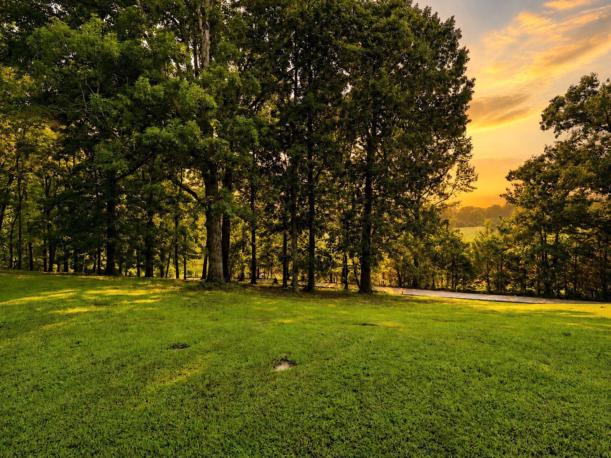 725 Oak Grove Road Benton, TN 37307 - Photo 46 of 50