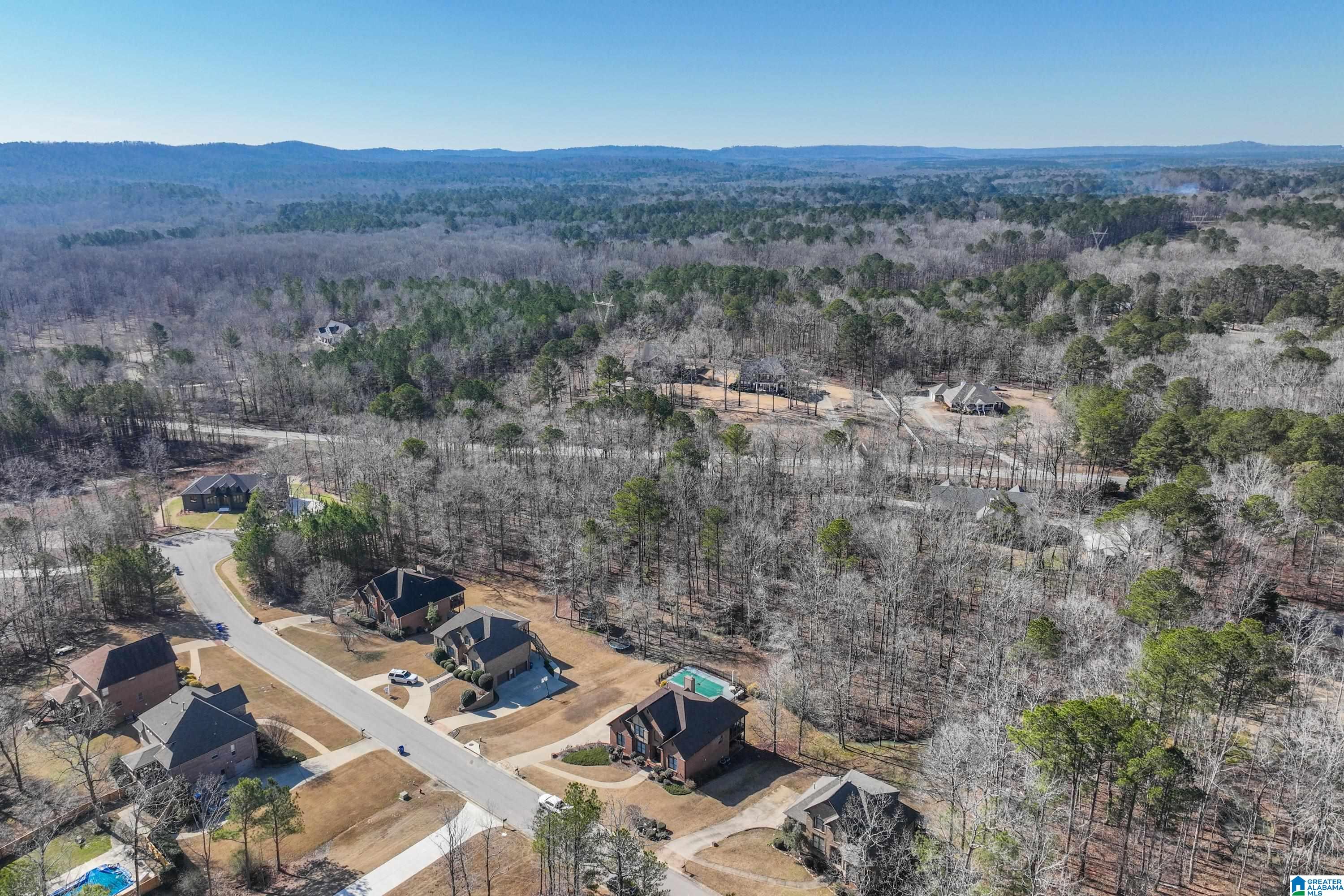 512 Baron Circle Chelsea, AL 35043 - Photo 80 of 81