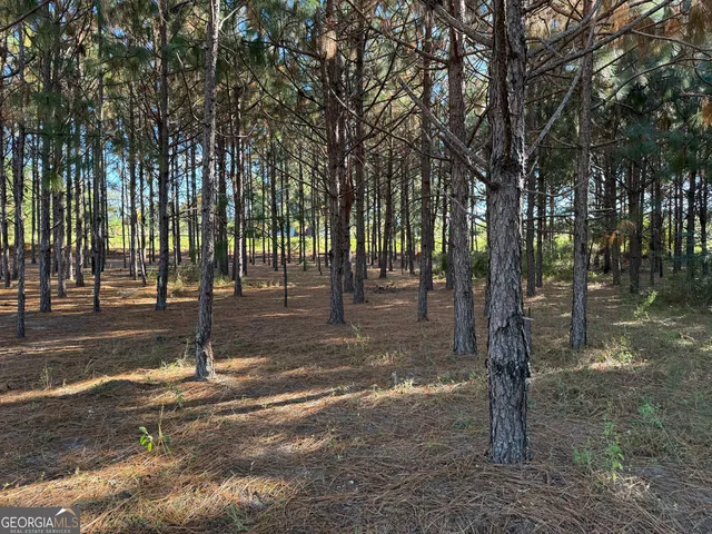 $495,000 | 632 Whittle Road, Dexter, GA 31019