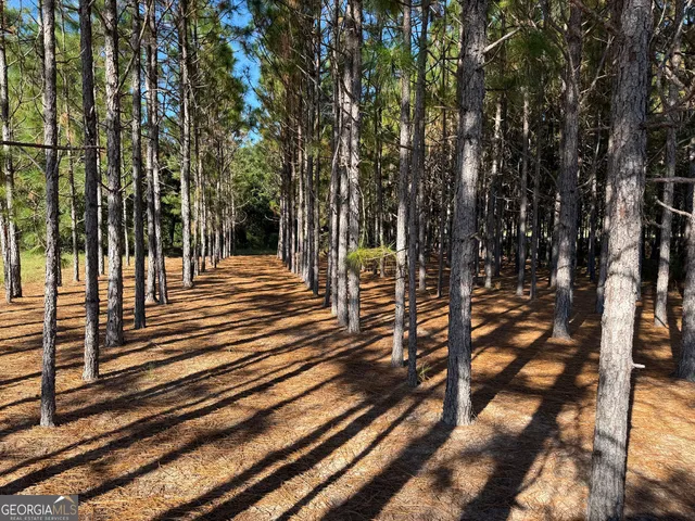 $495,000 | 632 Whittle Road, Dexter, GA 31019