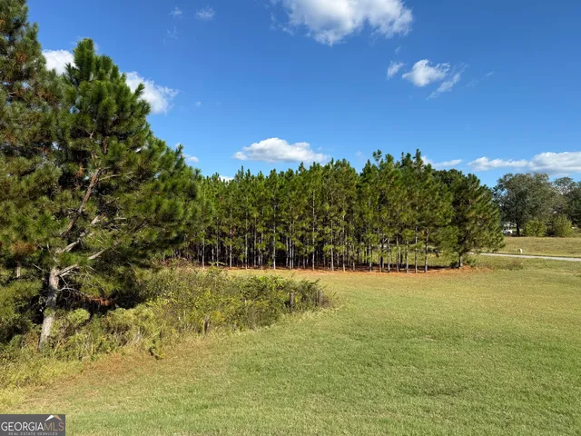 $495,000 | 632 Whittle Road, Dexter, GA 31019