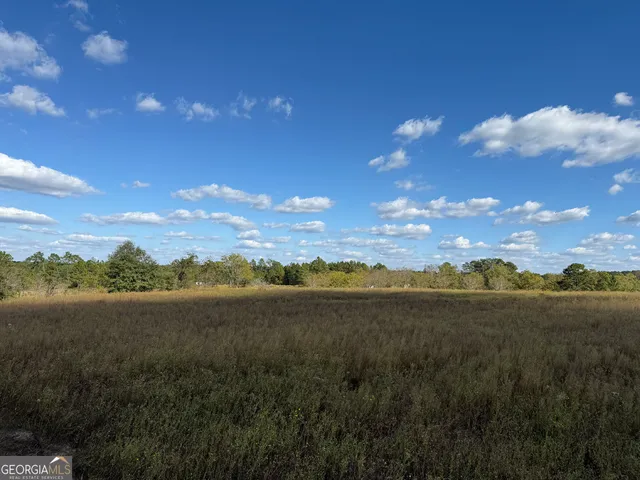 $495,000 | 632 Whittle Road, Dexter, GA 31019