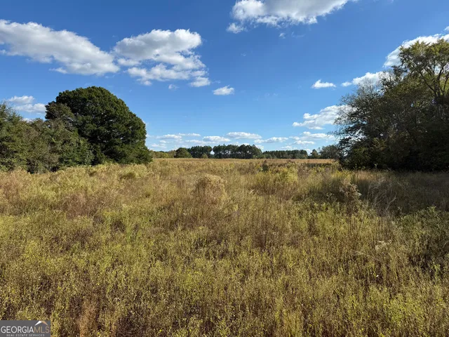 $495,000 | 632 Whittle Road, Dexter, GA 31019