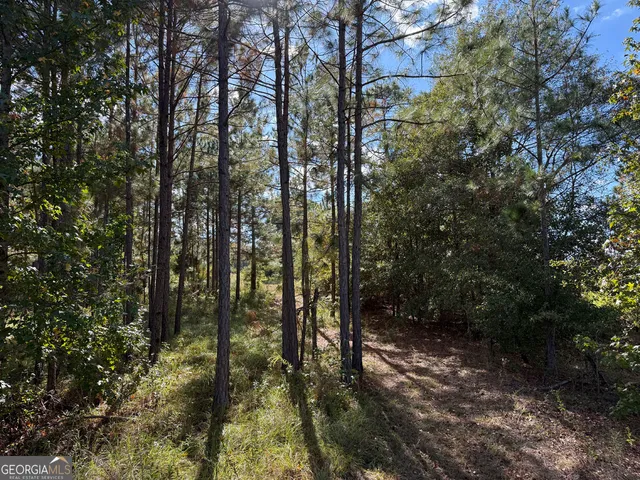 $495,000 | 632 Whittle Road, Dexter, GA 31019