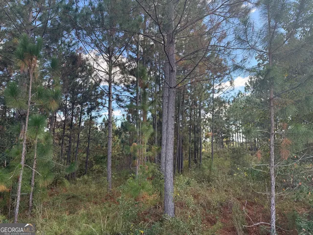 $495,000 | 632 Whittle Road, Dexter, GA 31019