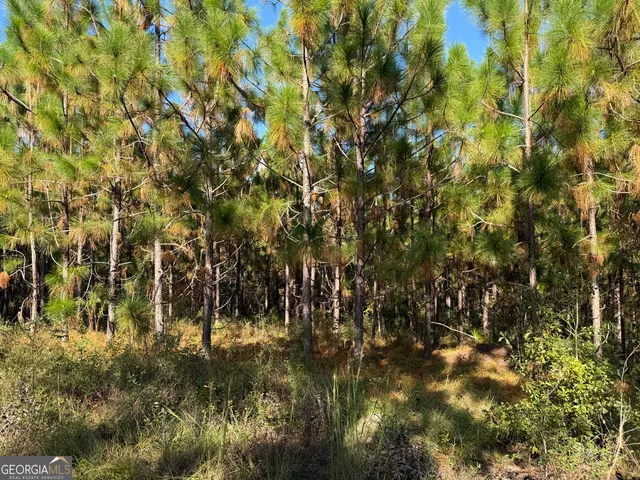 $495,000 | 632 Whittle Road, Dexter, GA 31019