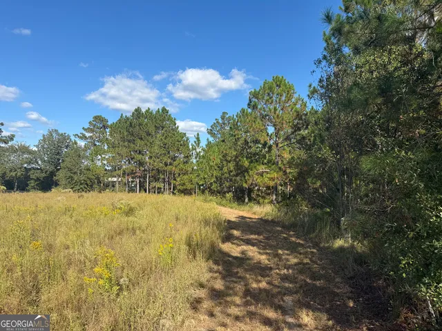 $495,000 | 632 Whittle Road, Dexter, GA 31019