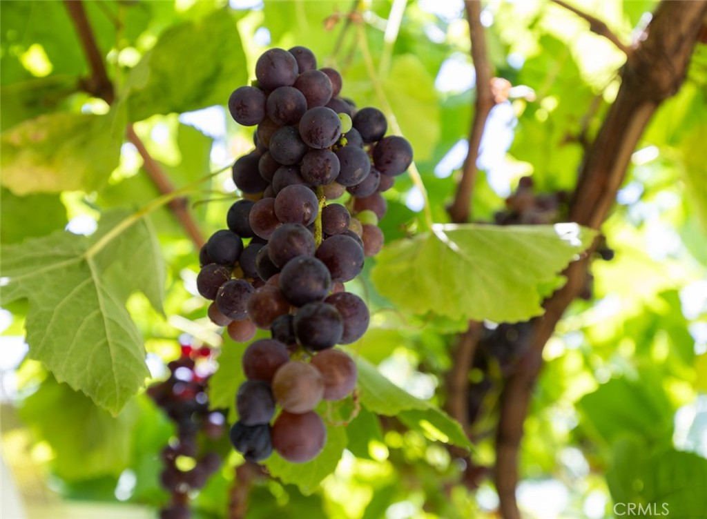 3463 Windsor Court Costa Mesa, CA 92626 - Photo 29 of 36