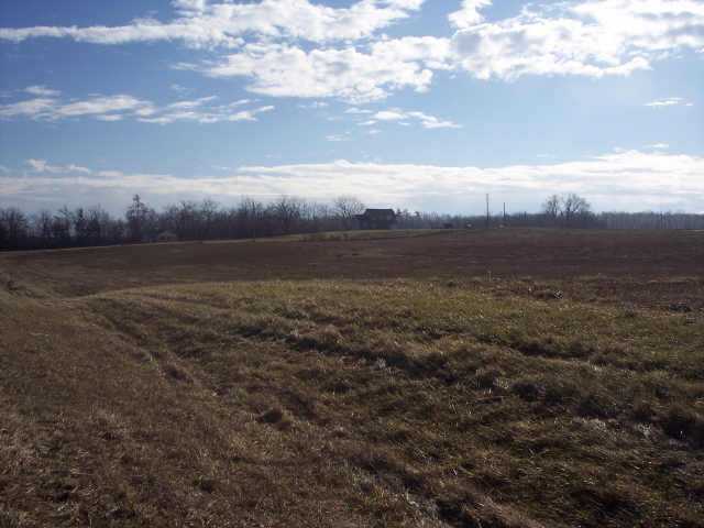 Brand Road Cable, OH 43009 - Photo 5 of 5