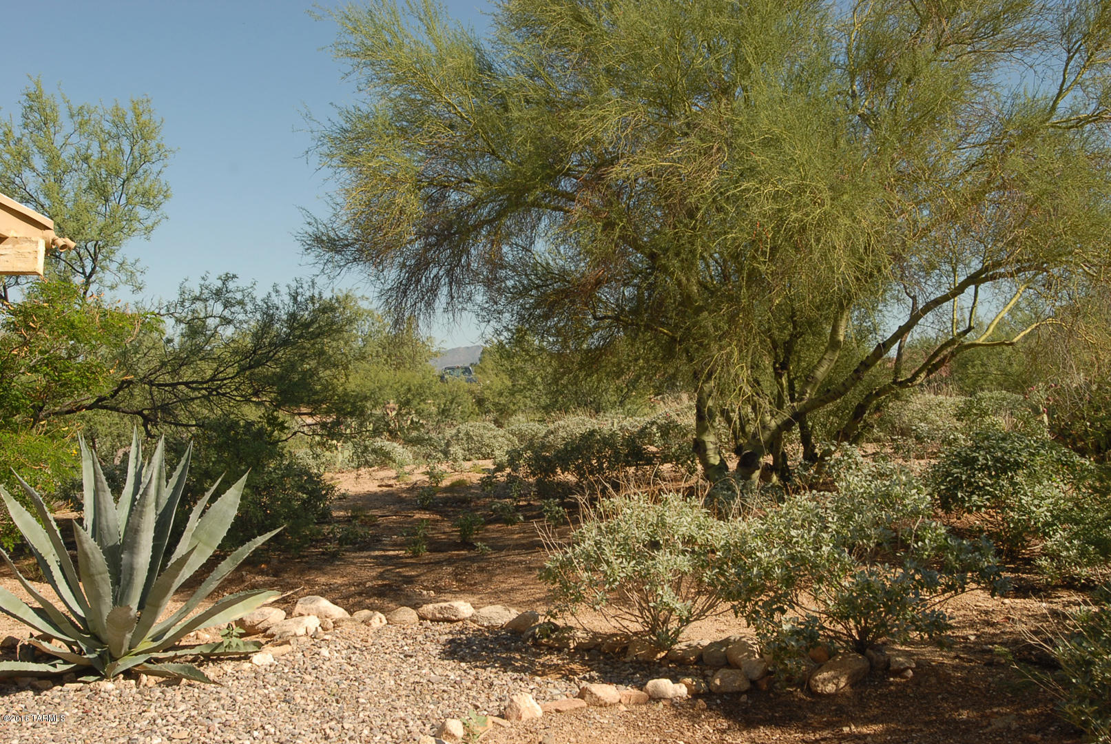 540 East Rancho Catalina Place Tucson, AZ 85704 - Photo 25 of 28