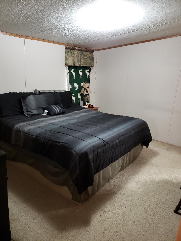 742 Sulphur Creek Road Centerville, TN 37033 - Photo 13 of 18 Master Bedroom