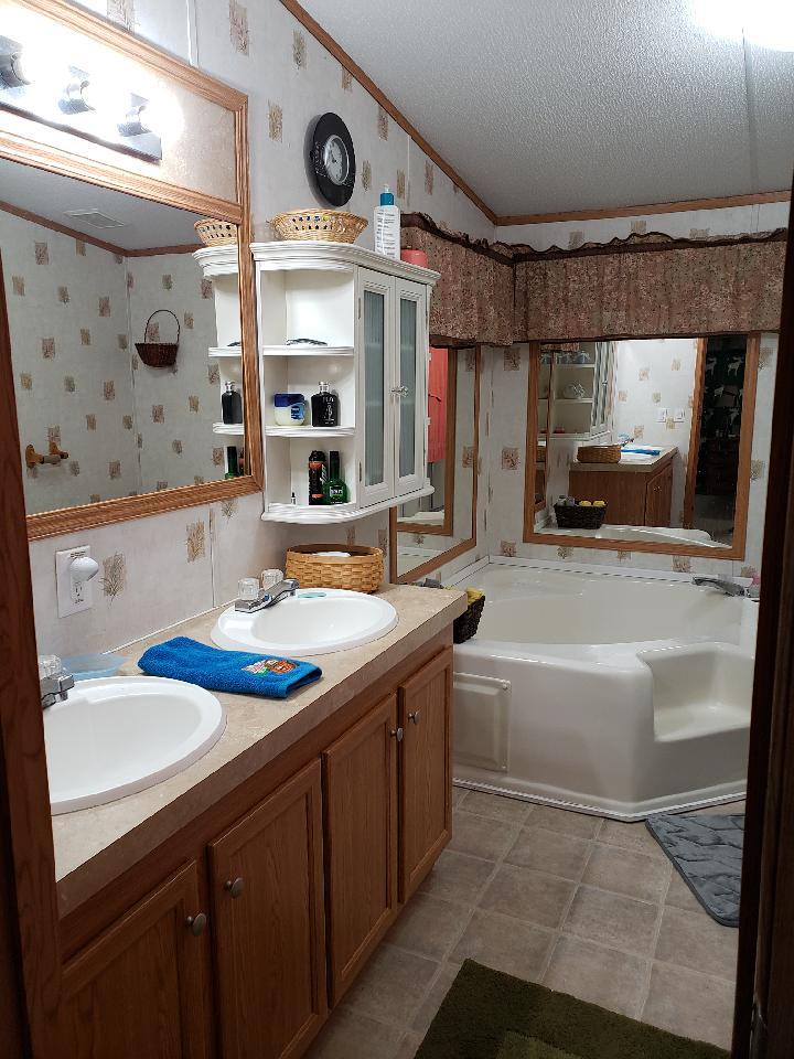 742 Sulphur Creek Road Centerville, TN 37033 - Photo 14 of 18 Mater Bath with garden tub