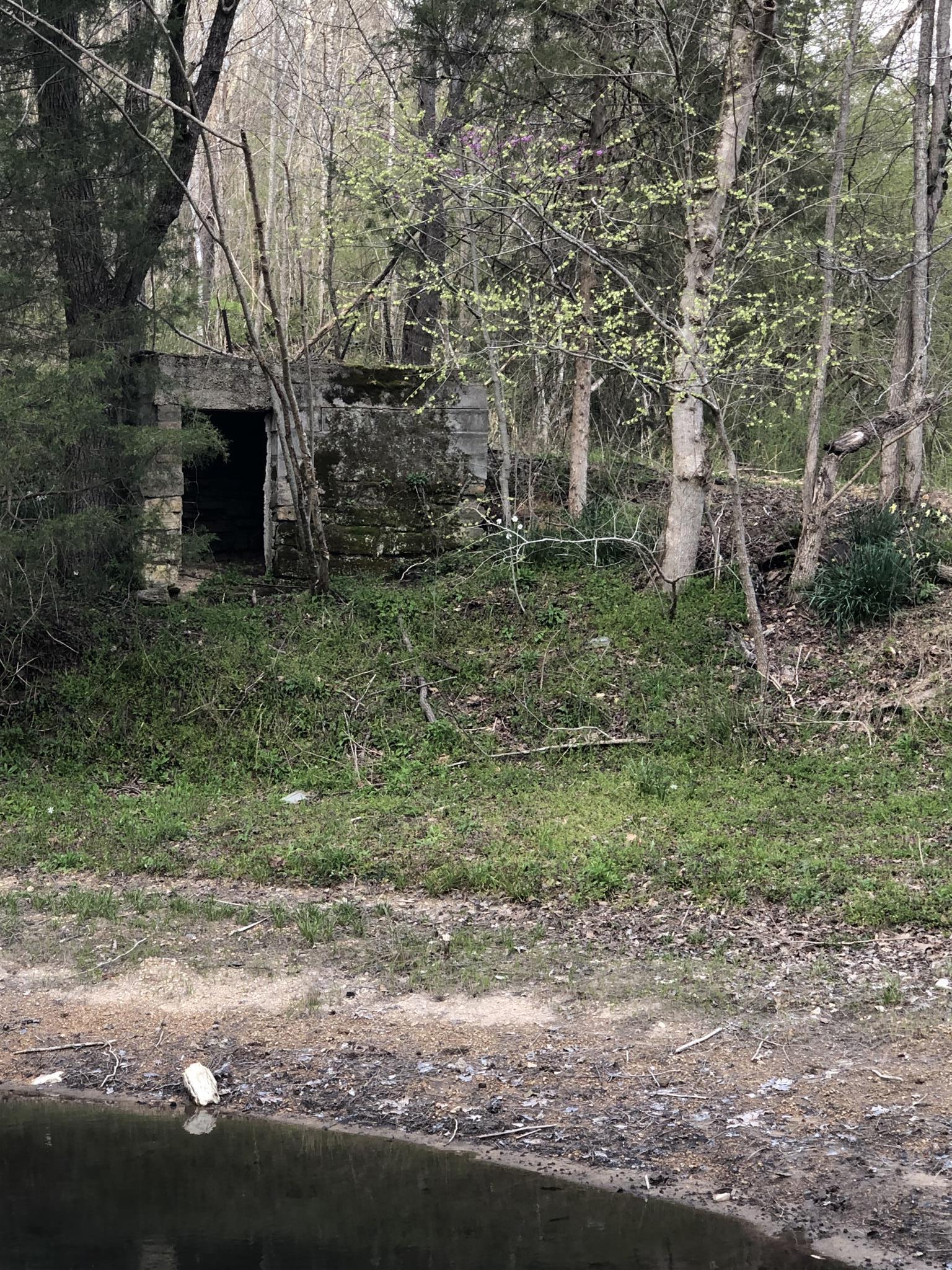 742 Sulphur Creek Road Centerville, TN 37033 - Photo 8 of 18 Root seller