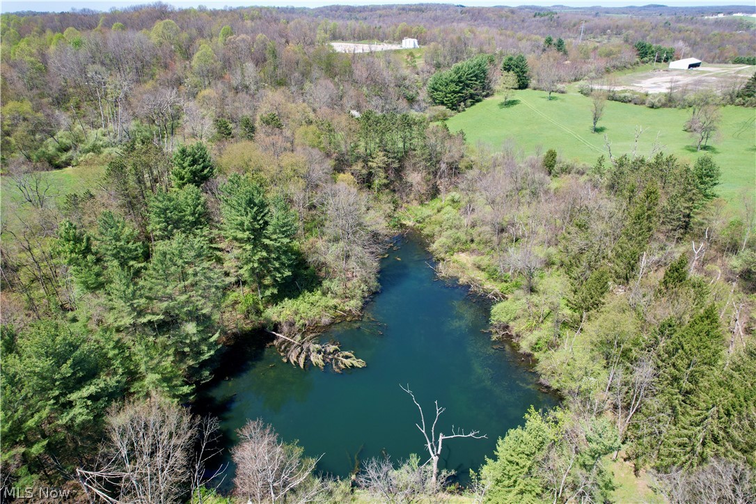 4101 Peace Road Southeast Carrollton, OH 44615 - Photo 45 of 48