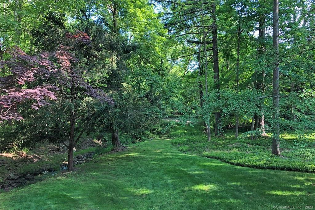 177 Brett Road Fairfield, CT 06824 - Photo 23 of 26 a view of a lush green forest