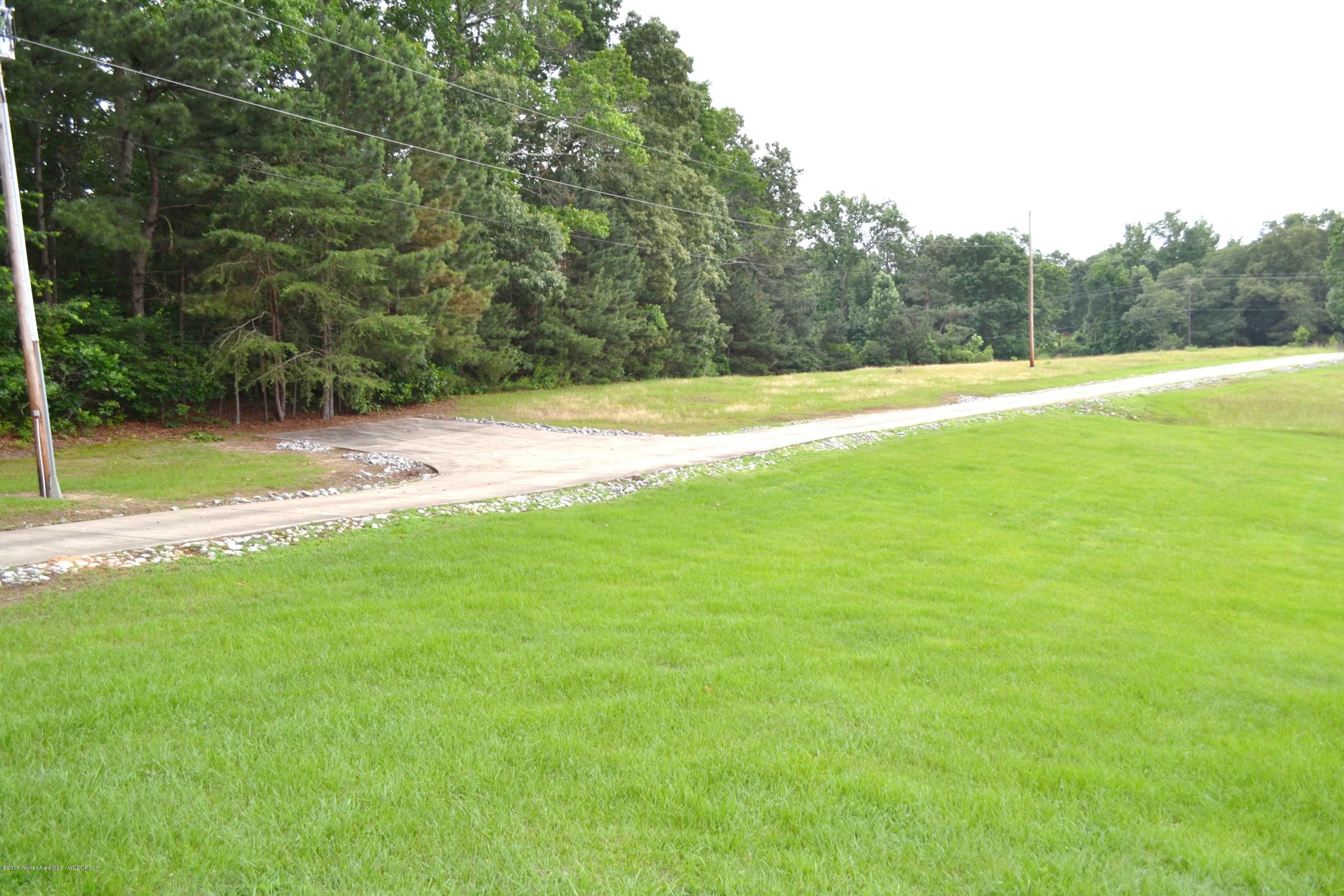 4902 Burrows Crossing Road Jasper, AL 35504 - Photo 25 of 26 Gallery Image 25