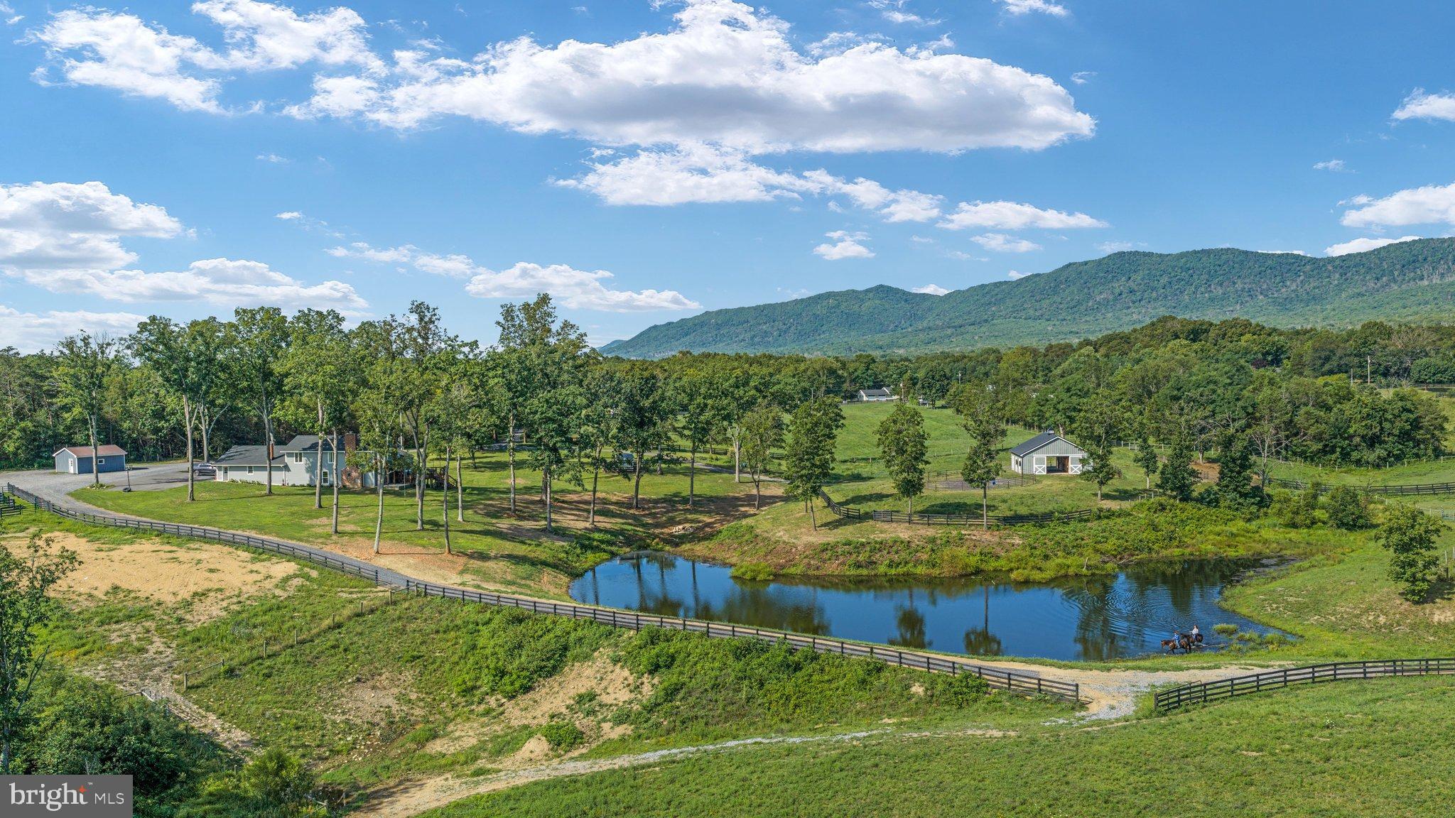 359 Ridgeway Road Front Royal, VA 22630 - Photo 117 of 136 DJI_20260804095543_0173_D_ 359 Ridgeway Rd - Absol