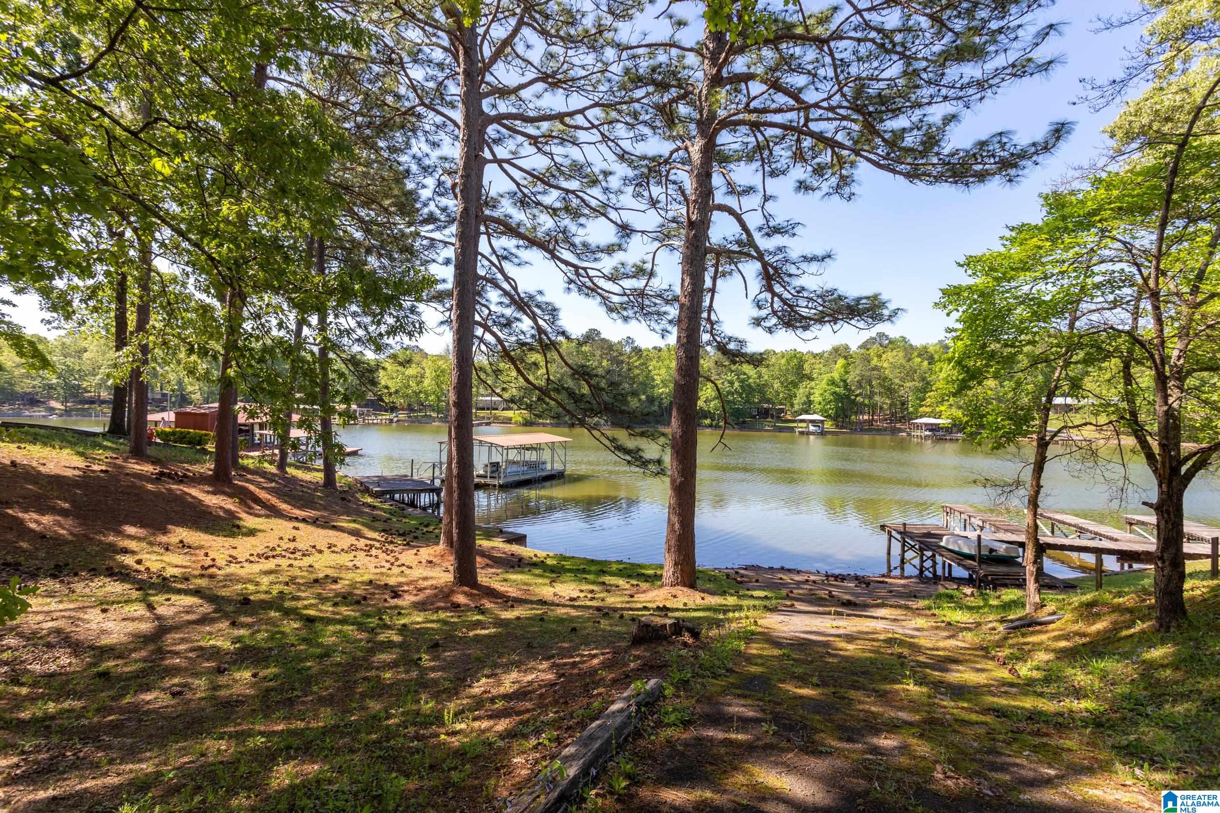 524 Coosa Island Road Cropwell, AL 35054 - Photo 35 of 39