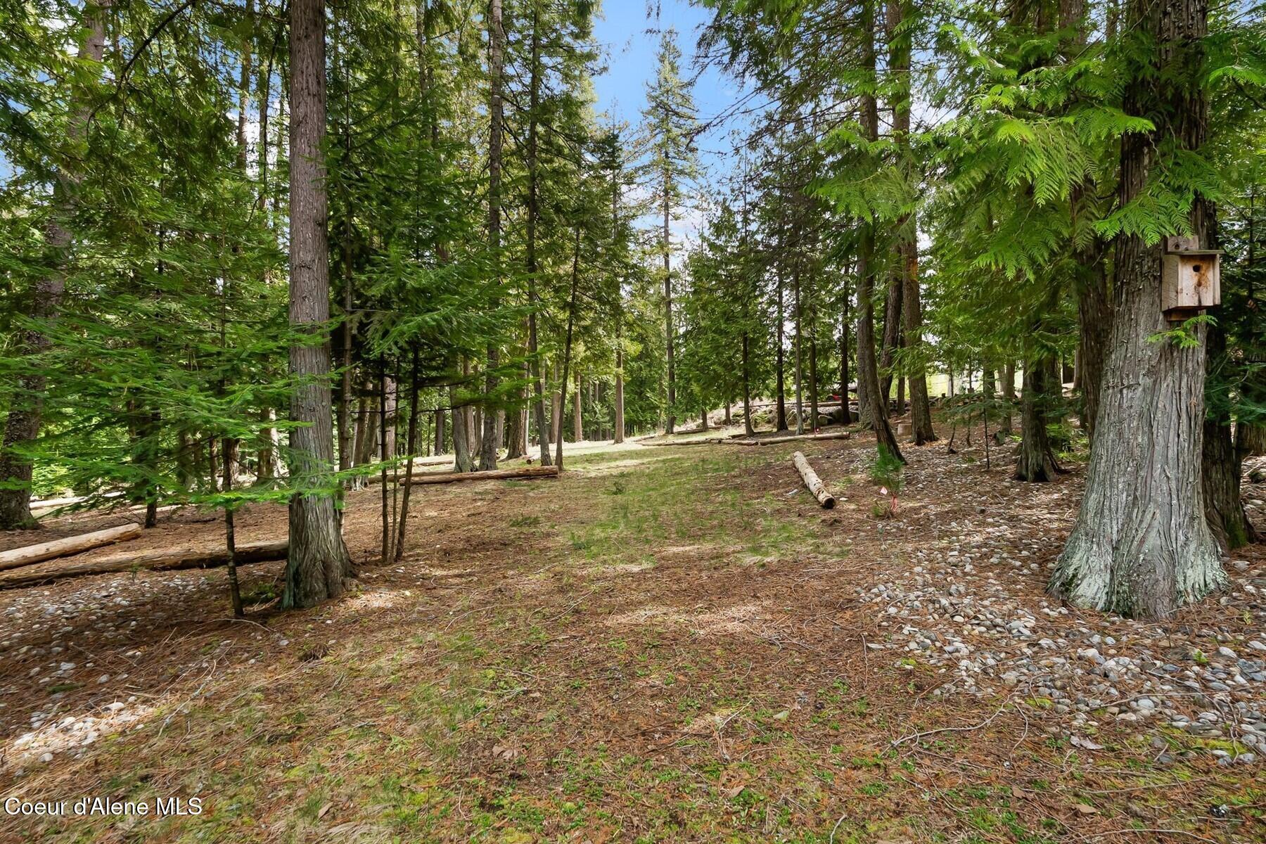 177 Hawkins Spur Road Sagle, ID 83860 - Photo 31 of 70 Growing a Variety of Trees
