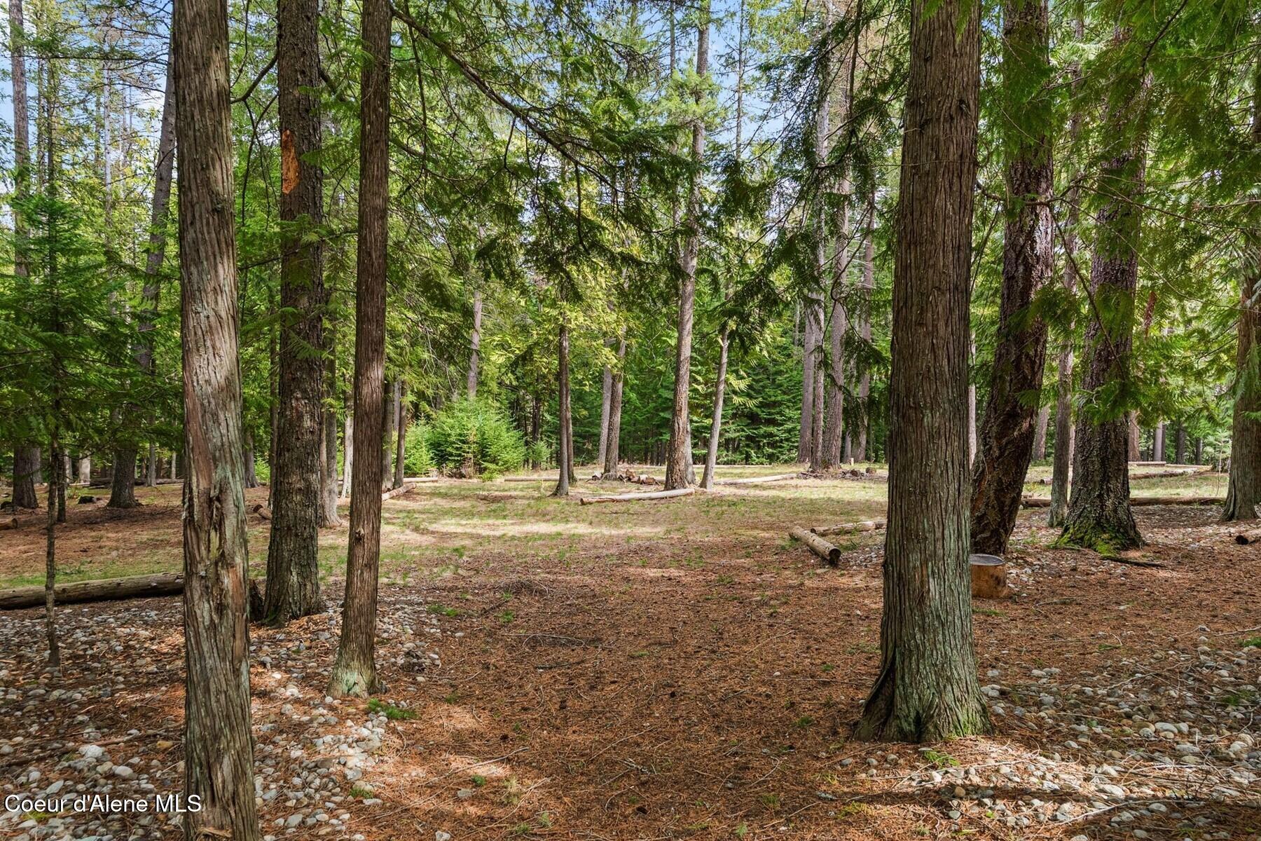 177 Hawkins Spur Road Sagle, ID 83860 - Photo 5 of 70 Beautiful Tree Farm