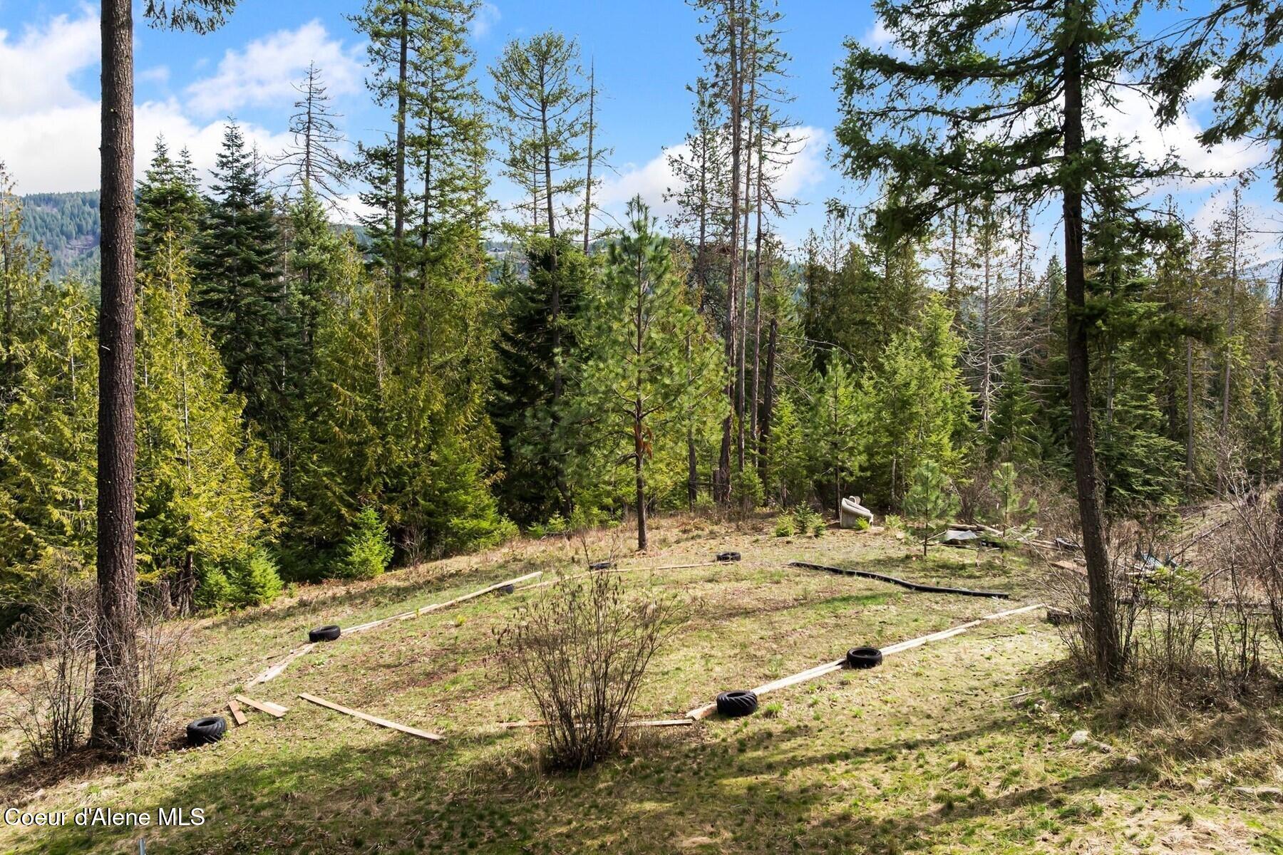 177 Hawkins Spur Road Sagle, ID 83860 - Photo 55 of 70 Forestry Tree Farm