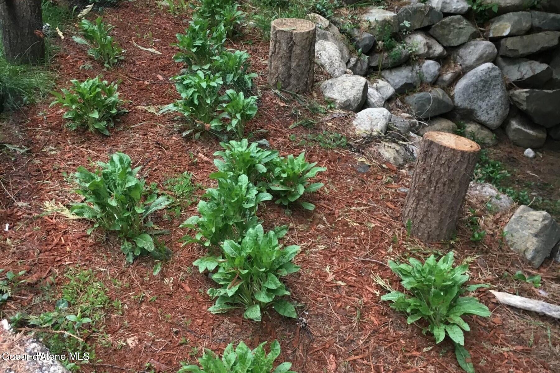 177 Hawkins Spur Road Sagle, ID 83860 - Photo 69 of 70 Beautiful Mature Landscaping