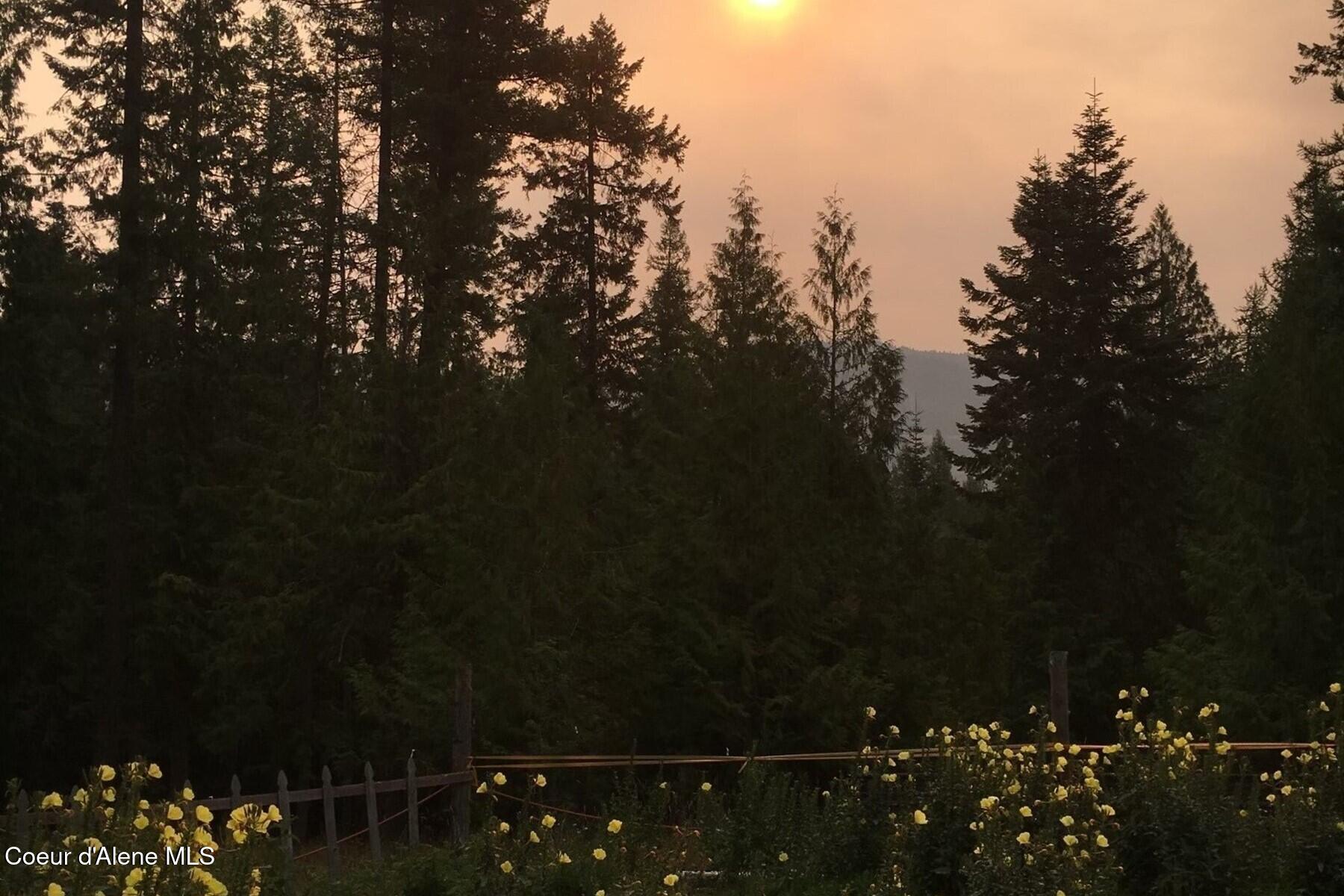 177 Hawkins Spur Road Sagle, ID 83860 - Photo 70 of 70 070_Sunset at the Tree Farm