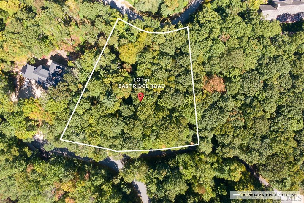 Lot 31 East Ridge Road Cashiers, NC 28717 - Photo 3 of 11 Gallery Image 3
