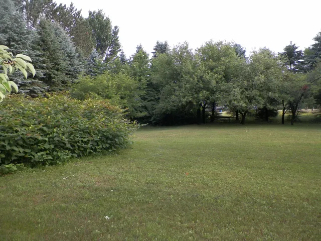 $139,900 | 615 River Street, Luther, MI 49656