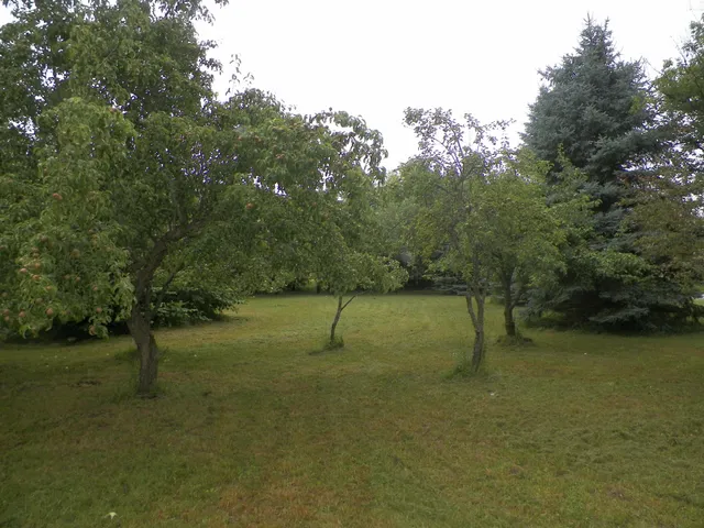 $139,900 | 615 River Street, Luther, MI 49656