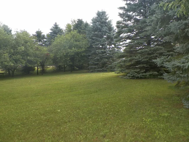 $139,900 | 615 River Street, Luther, MI 49656