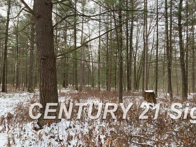 0 West Wackerly Road Sanford, MI 48657 - Photo 8 of 19