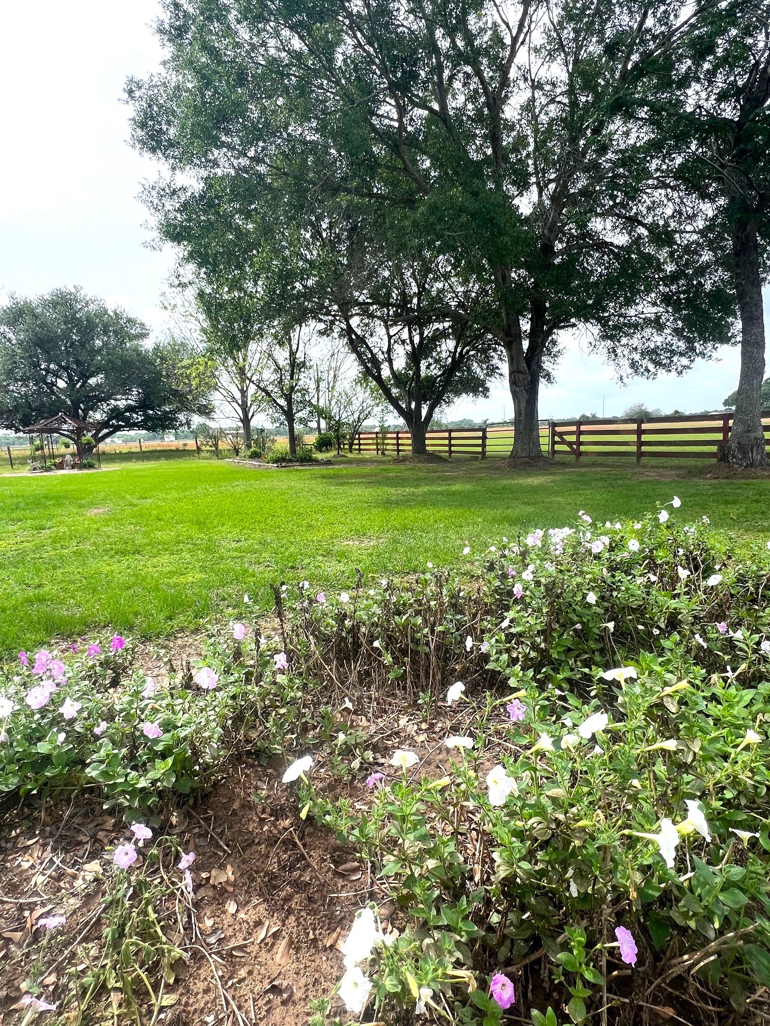 3798 Johnston Road Wallis, TX 77485 - Photo 33 of 38