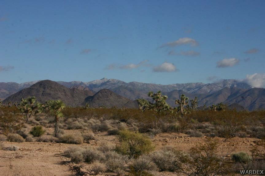 D8 Nolan Road Yucca, AZ 86438 - Photo 1 of 16 Gallery Image 1