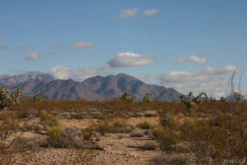 D8 Nolan Road Yucca, AZ 86438 - Photo 2 of 16 Gallery Image 2