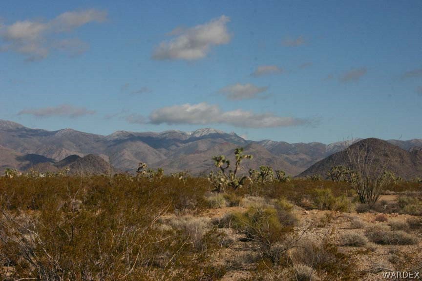 D8 Nolan Road Yucca, AZ 86438 - Photo 3 of 16 Gallery Image 3