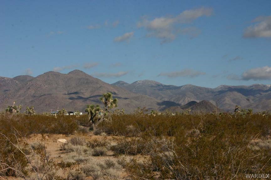 D8 Nolan Road Yucca, AZ 86438 - Photo 4 of 16 Gallery Image 4