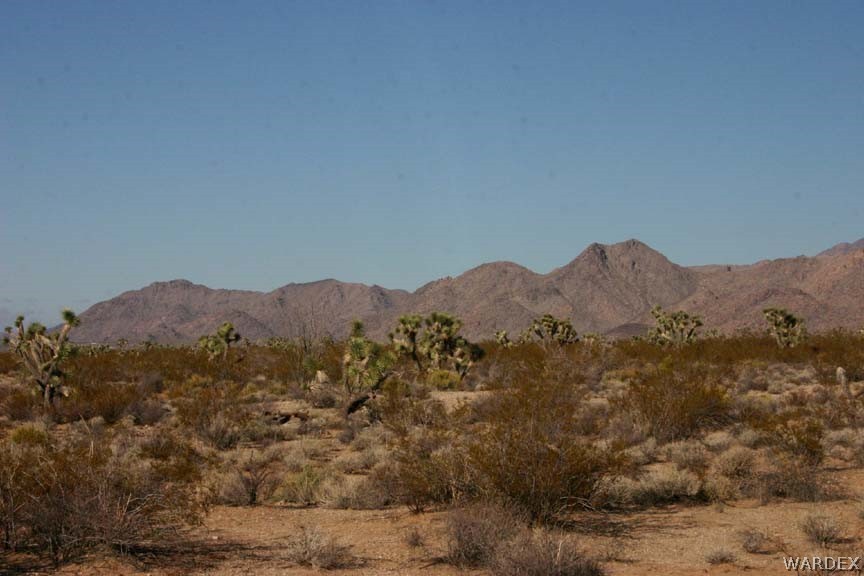D8 Nolan Road Yucca, AZ 86438 - Photo 7 of 16 Gallery Image 7