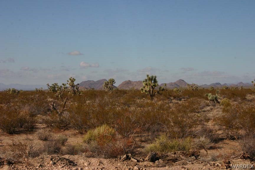 D8 Nolan Road Yucca, AZ 86438 - Photo 8 of 16 Gallery Image 8