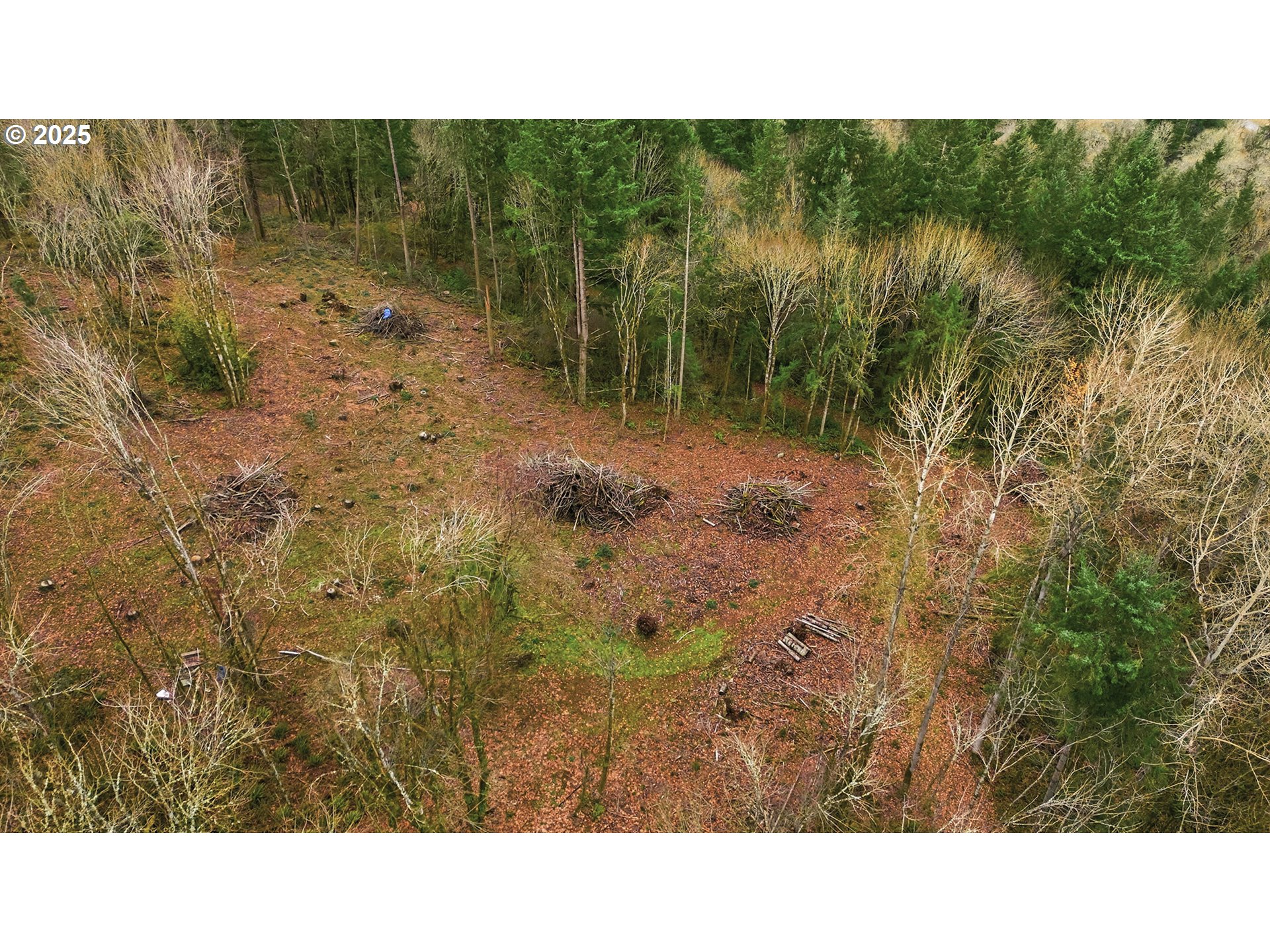 14255 St Francis Way Mulino, OR 97042 - Photo 26 of 30