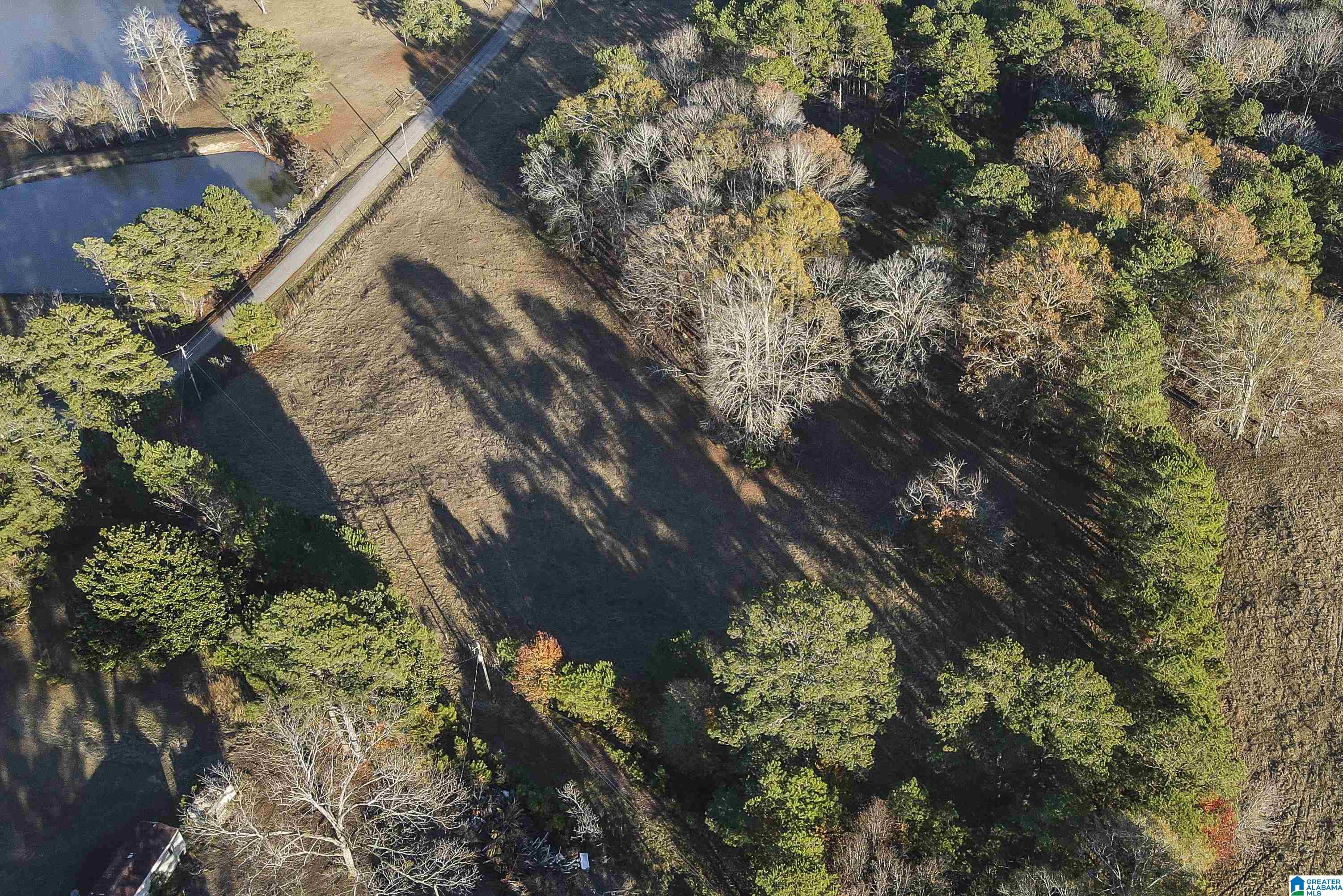 0 Kirkseys Bend, Unit 4 01 AC Ohatchee, AL 36271 - Photo 4 of 7