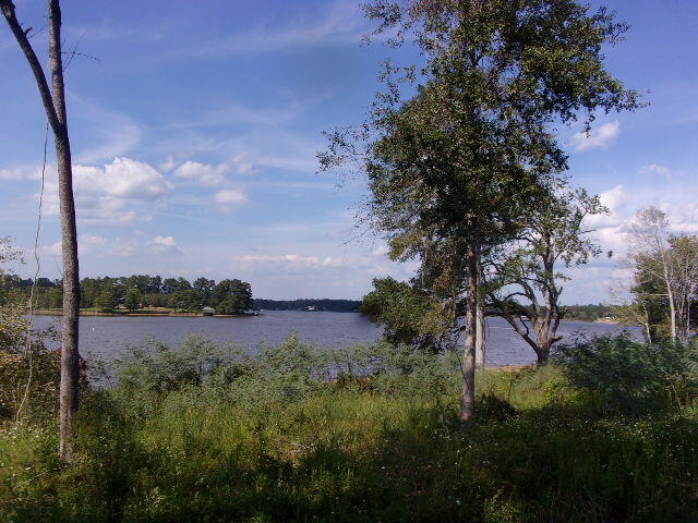 1 Hillcrest Farm Road Carriere, MS 39426 - Photo 4 of 13 Gallery Image 4