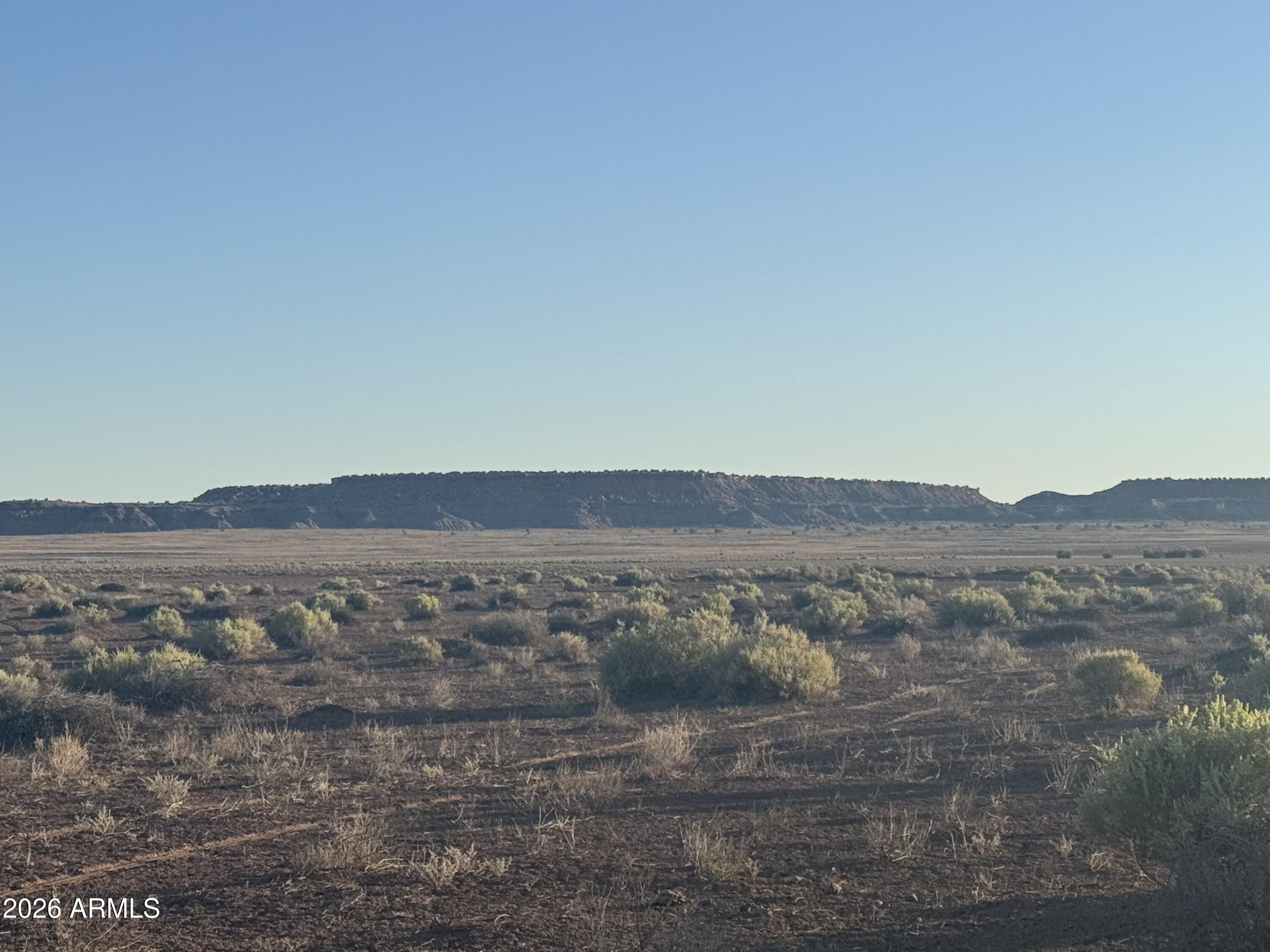 Lot 445 Carrizo Ranch, Unit 445 St. Johns, AZ 85936 - Photo 5 of 17 IMG_1873